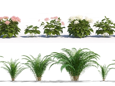 现代花草组合