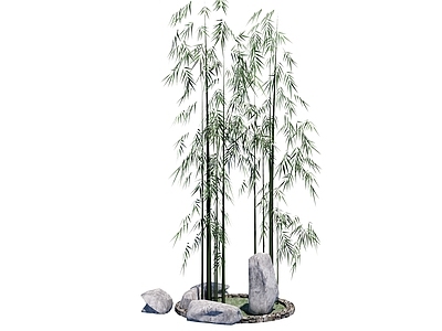 现代竹类 置石小品