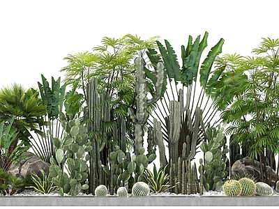 现代植物堆