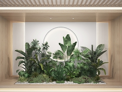 现代植物堆