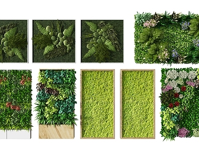 现代绿植墙组合