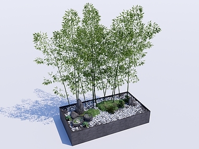 现代竹子 禅意盆栽 庭院小品 绿植盆栽