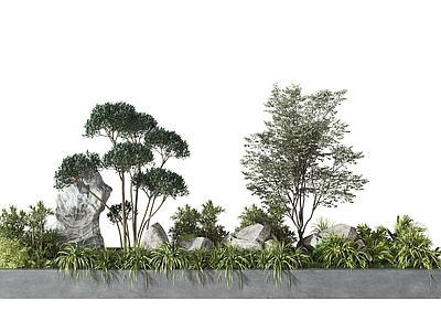 现代植物堆