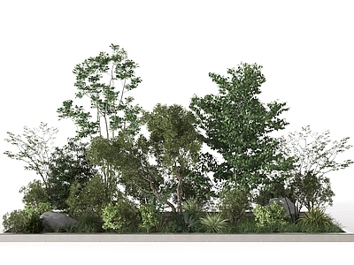 现代植物堆 绿植堆 灌木 景观 园艺 户外植物 庭院植物 盆景 植物