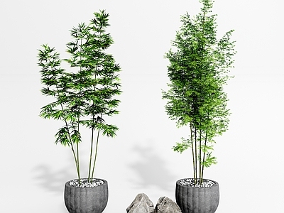 新中式竹子 盆景