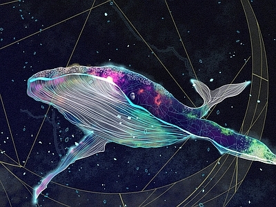 星空治愈系鲸鱼装饰画 现代抽象装饰画