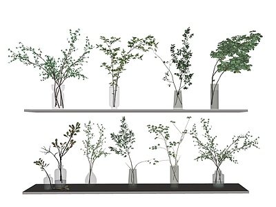 现代水生植物 花瓶 玻璃瓶 植物 绿植 花草 摆件 玻璃摆件