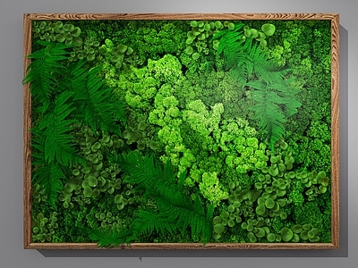 现代绿植墙 植物墙