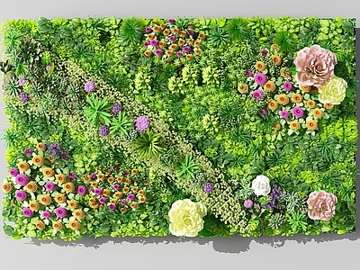 现代植物墙 墙 花墙