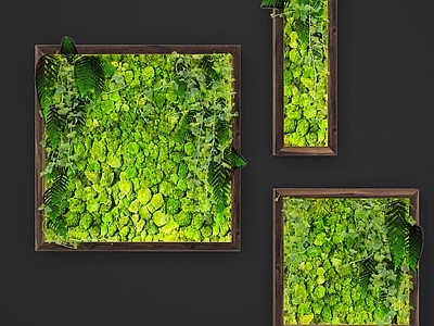 现代植物墙 绿植背景墙