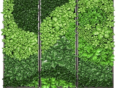 现代植物墙