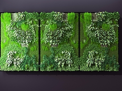 现代植物墙 背景墙 苔藓墙面