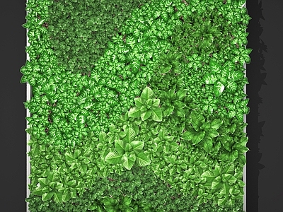 现代植物墙