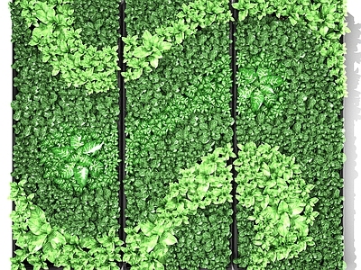 现现代绿植墙