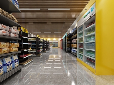 现代超市 饮料冰柜 产品货柜 酒水 食品