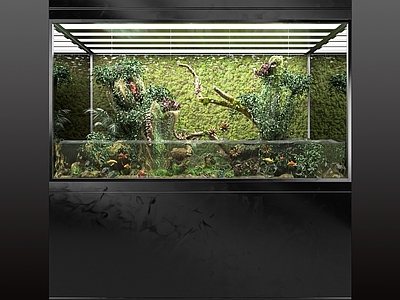 现代鱼缸水族 植物 龟 鱼 水 叶子 树 苔藓 水族箱