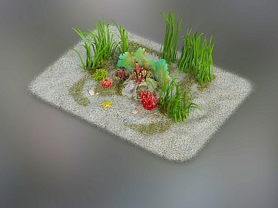 现代贝壳 海底植物 海葵 珊瑚 海草 海星 海螺