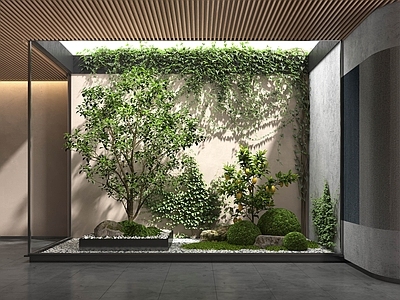 现代植物堆 室内植物小品
