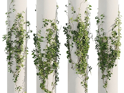 现代藤曼植物墙