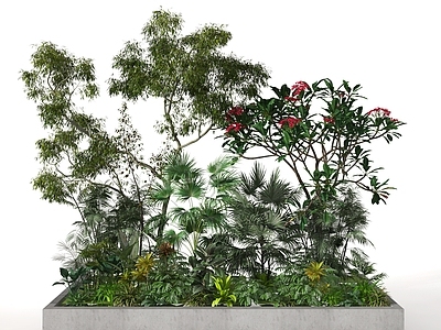现代植物堆 绿植堆