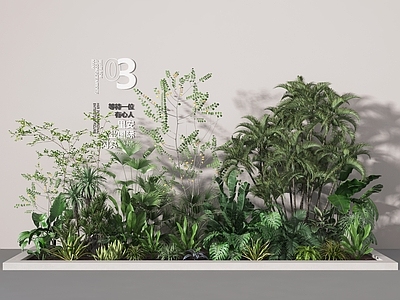 现代植物堆