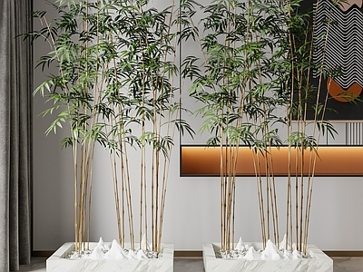 新中式竹子绿植盆栽
