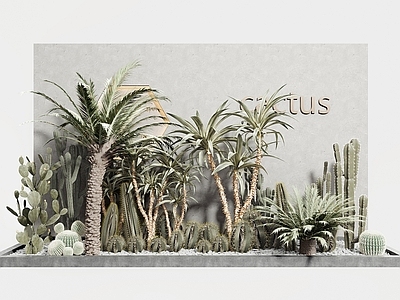 现代植物堆
