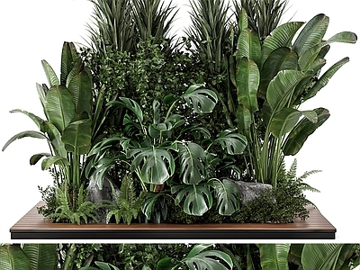 现代植物堆