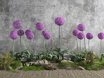 现代花草组合