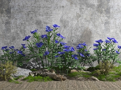 现代花草组合