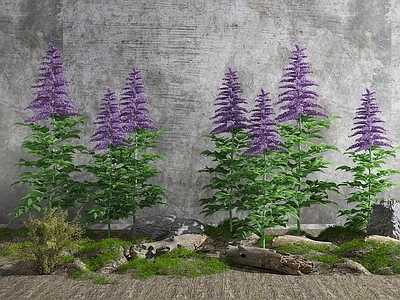 现代花草组合