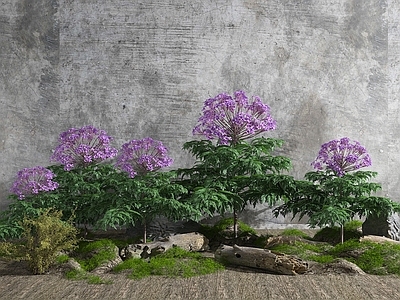 现代花草组合