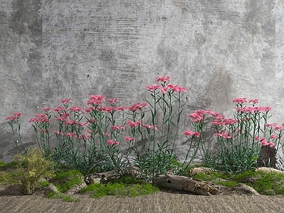 现代花草组合