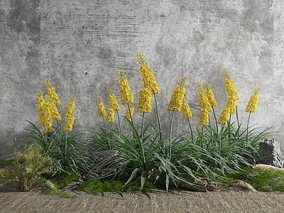 现代花草组合