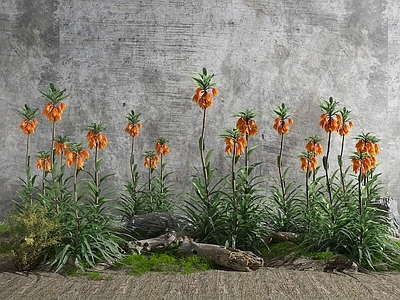 现代花草组合