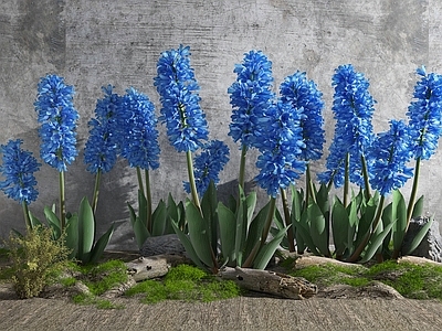 现代花草组合