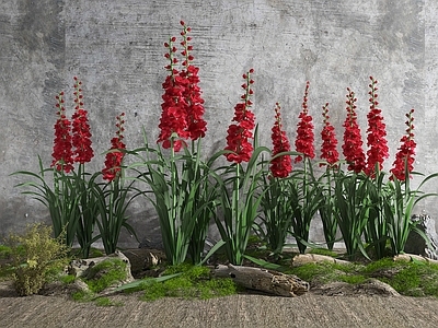 现代花草组合