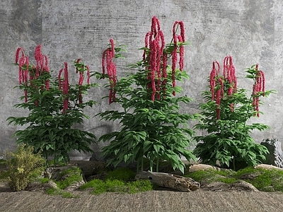 现代花草组合