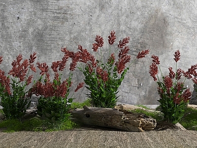 现代花草组合