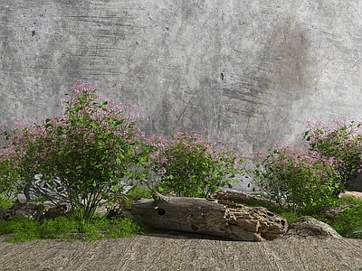 现代花草组合