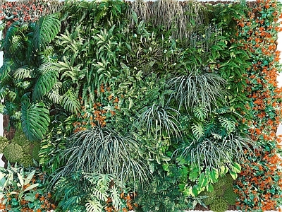 现代绿植墙 植物墙