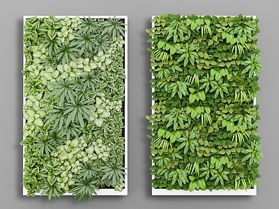 现代绿植墙