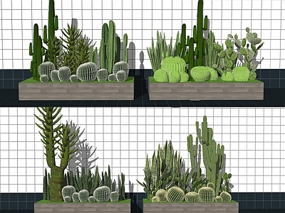 现代仙人掌 多肉植物 盆栽 绿植盆栽 咖啡厅绿植