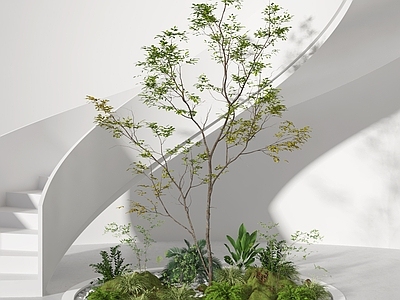 现代植物堆 旋转