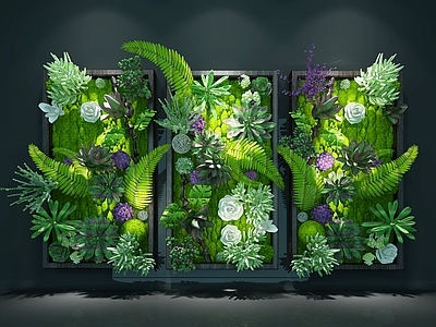 现代植物墙