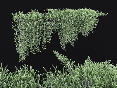 现代绿植墙