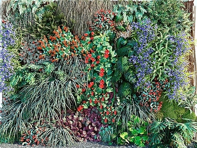 现代植物堆 墙 花草 花卉