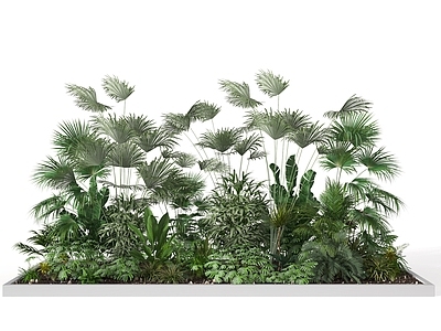 现代植物堆 植物 灌木 绿化带