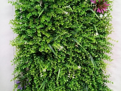绿色植物墙贴图