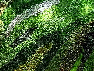绿色植物墙贴图